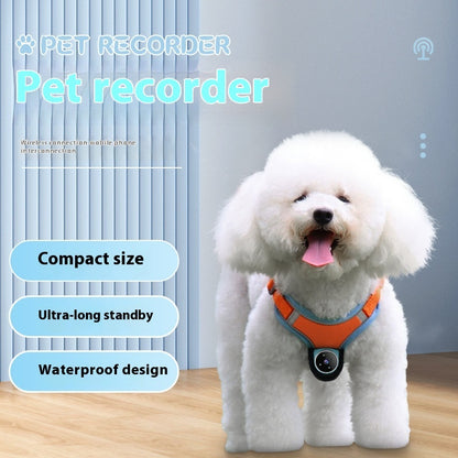 PetCam | Pro Collar