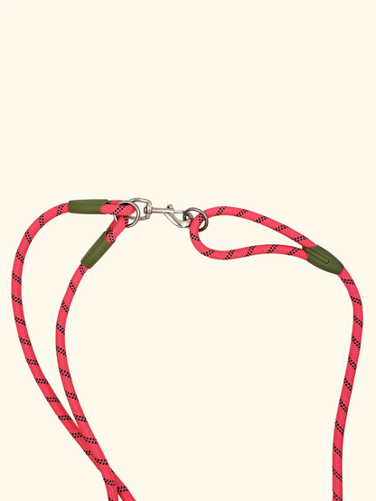 WalkAbout | Hands-Free Dog Walking Leash
