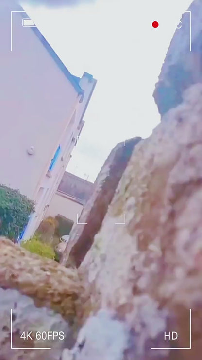 PetCam | Pro Collar